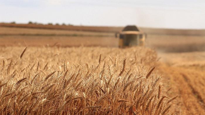 Il pasticcio del concorso per 650 posti di lavoro al Ministero dell’agricoltura
