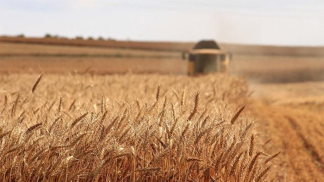 agricoltura