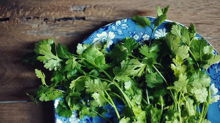 Coriandolo: proprietà e come usarlo in cucina fresco o come spezia