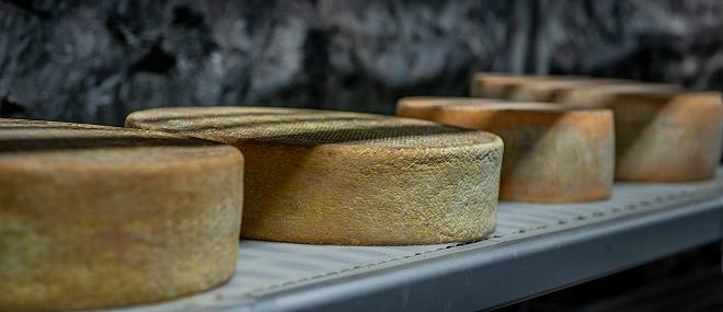 stagionatura del formaggio