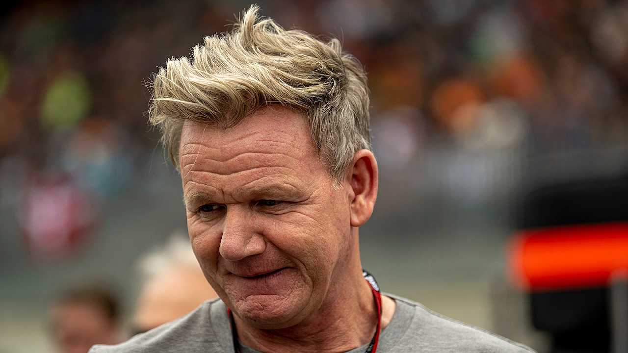 Quasi 500 gatti sono spariti da un ristorante di Gordon Ramsay