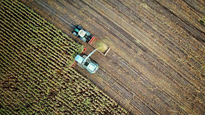 Nelle nuove linee guida europee mancano i riferimenti al green, e Lollobrigida applaude