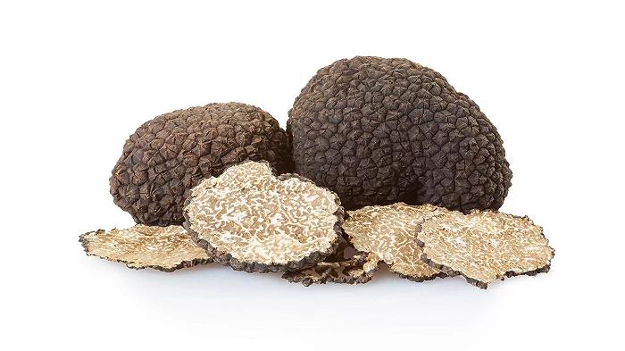 I cani statunitensi hanno scoperto due nuove specie di tartufo