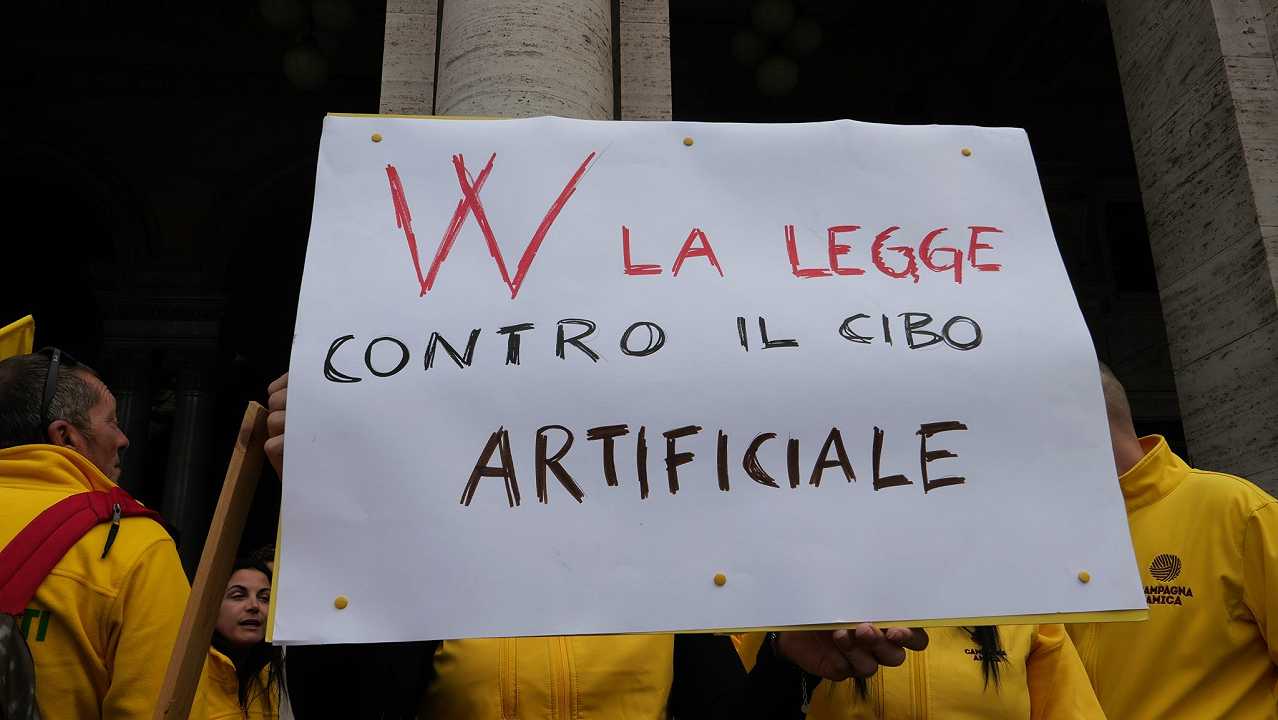 La marcia di Coldiretti contro la carne coltivata è stata un’ottima iniziativa