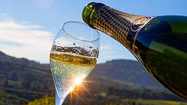 La siccità in Catalogna mette a rischio i lavoratori di vino Cava