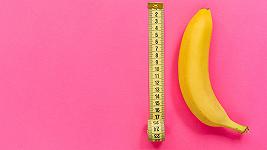 Banana for scale: 20 anni fa nasceva il meme più assurdo di internet
