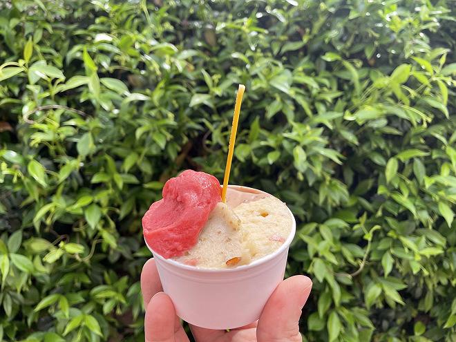 gelateria La gourmandise Roma