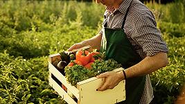 Come l’agricoltura rigenerativa può aiutare con il caldo record
