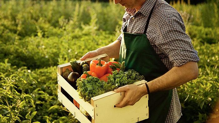 Come l’agricoltura rigenerativa può aiutare con il caldo record