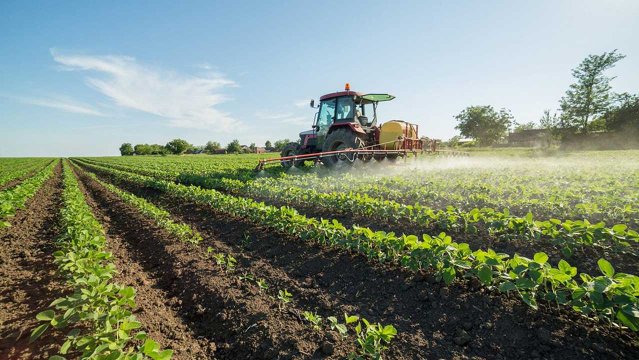 Una microbiologa brasiliana vince il “Nobel per l’agricoltura”