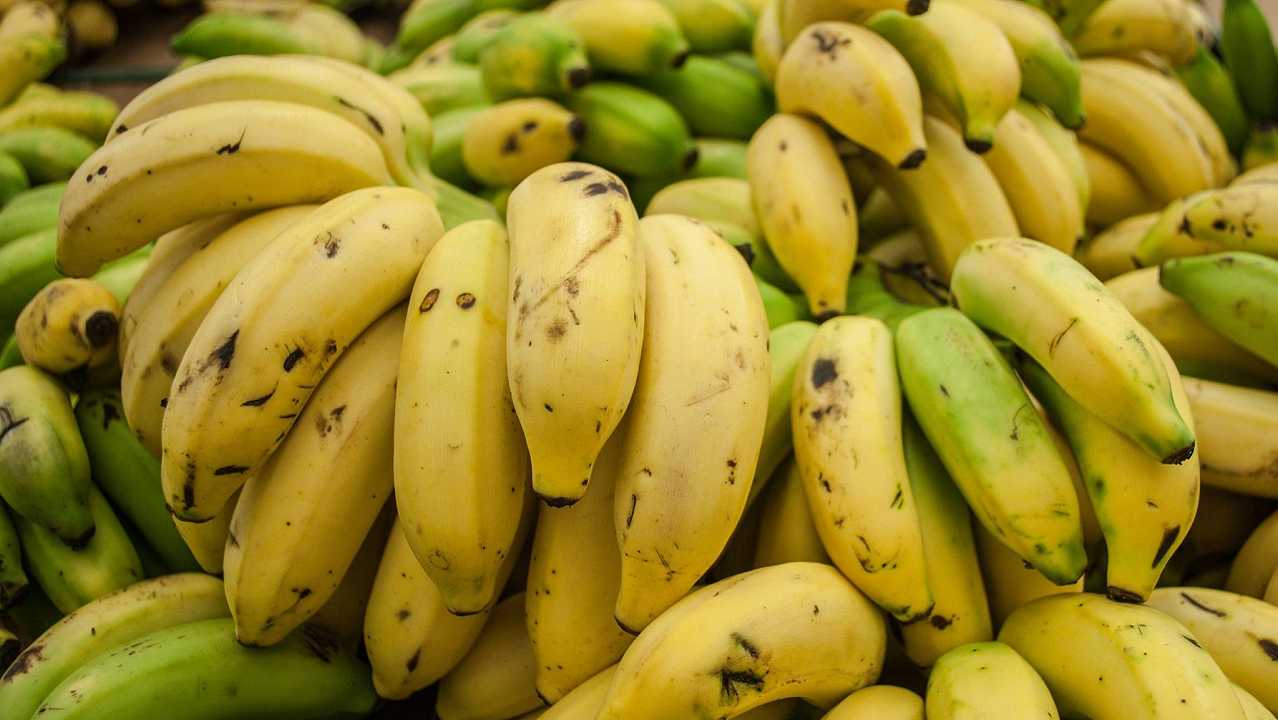 Chiquita licenzia migliaia di lavoratori dopo uno sciopero: “per colpa loro abbiamo perso 75 milioni”