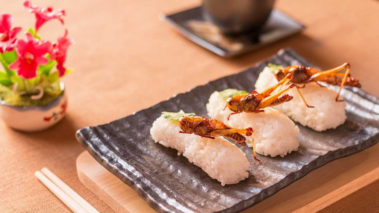Se nemmeno mangiare insetti ci salverà