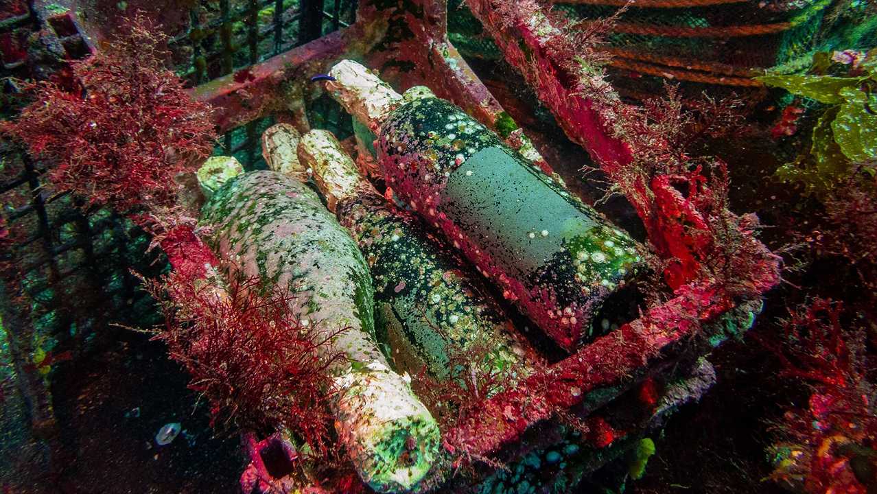 Francia e Italia realizzeranno insieme due cantine sottomarine per affinare il vino