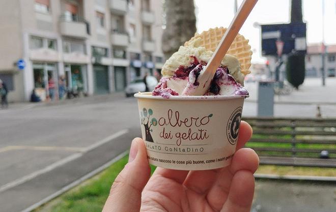 Albero dei Gelati