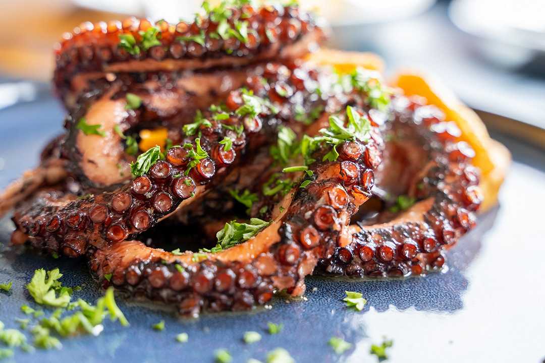 Polpo alla griglia, la ricetta con i trucchi per farlo morbido
