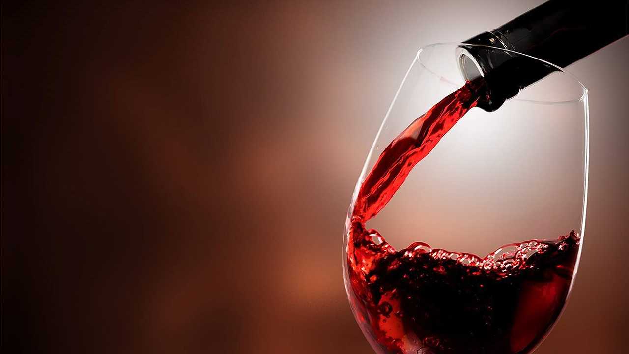L’industria del vino trema e si appella a Lollobrigida contro il proibizionismo anti-alcol