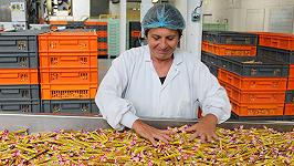Ferrero pronta ad acquistare una delle caramelle più famose di Francia
