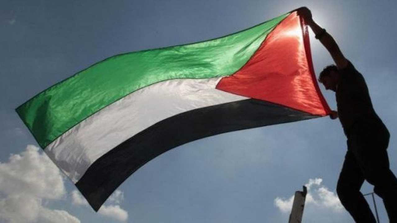Arriva il secondo e-book di ricette (vegane) per sostenere la Palestina