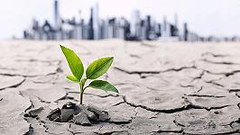 Perché i cambiamenti climatici rendono gli ortaggi meno nutrienti