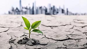 Perché i cambiamenti climatici rendono gli ortaggi meno nutrienti