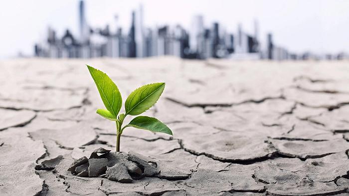 Perché i cambiamenti climatici rendono gli ortaggi meno nutrienti