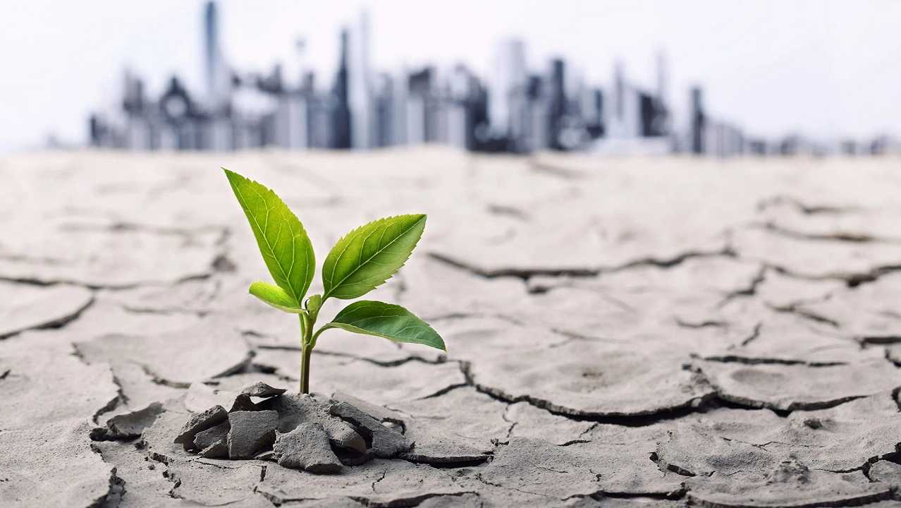 Perché i cambiamenti climatici rendono gli ortaggi meno nutrienti