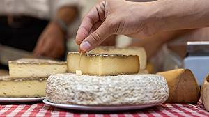 Riuscirà Cheese 2025 a risollevare l’immagine del formaggio a latte crudo?