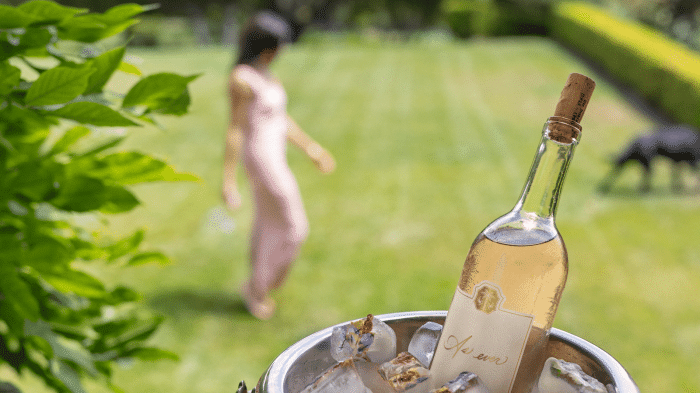 Siamo impazziti per il vino realizzato da un gruppo di amiche ricche e annoiate