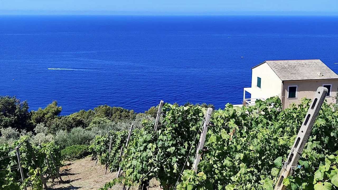 L’aggressione a Giuseppe Luciano Aieta di Cà du Ferrà e l’omofobia della piccola comunità agricola