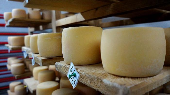 Torna il Concorso “Pascolo e alpeggio italiano”, dedicato ai formaggi a latte crudo: come partecipare