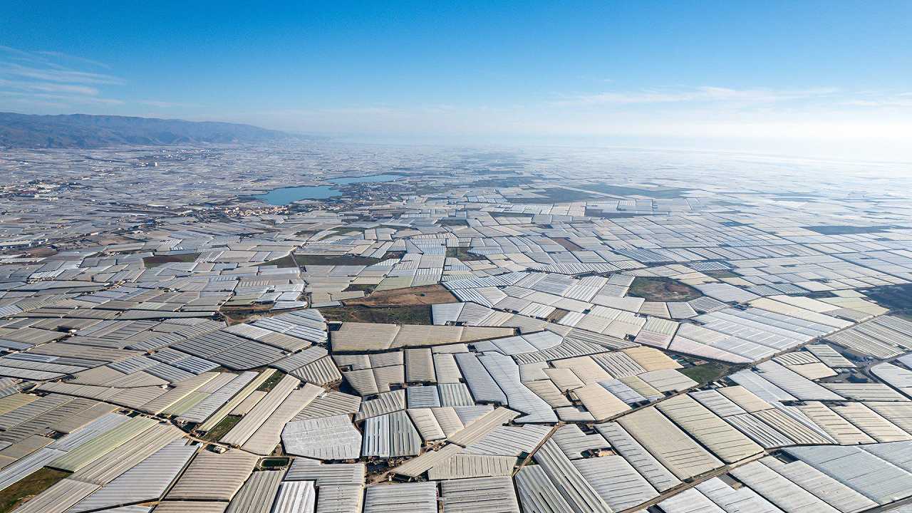Cosa sono gli invernaderos: ovvero, da dove arriva la maggior parte della frutta e della verdura che compriamo