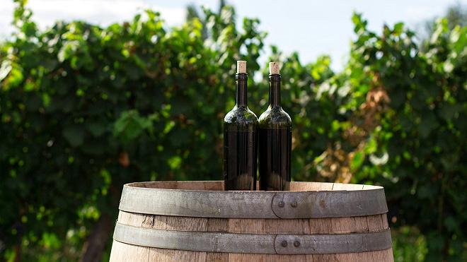 vino-botte