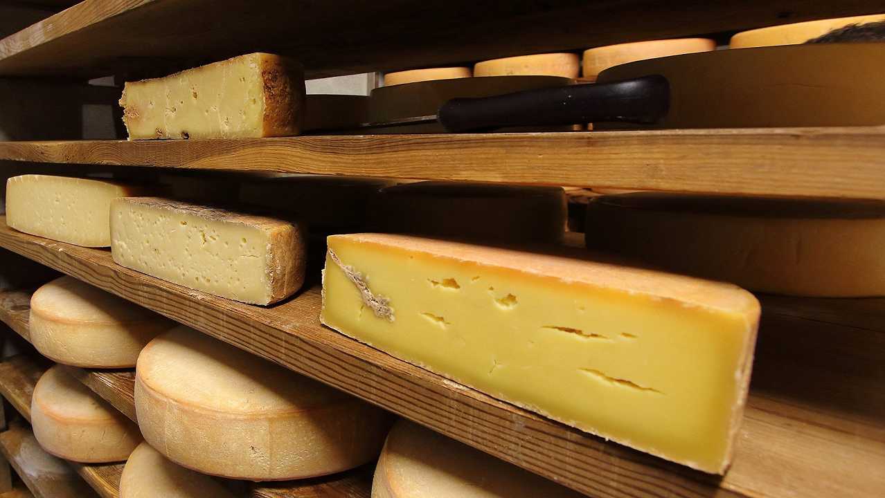 5 motivi per cui i formaggi a latte crudo sono migliori