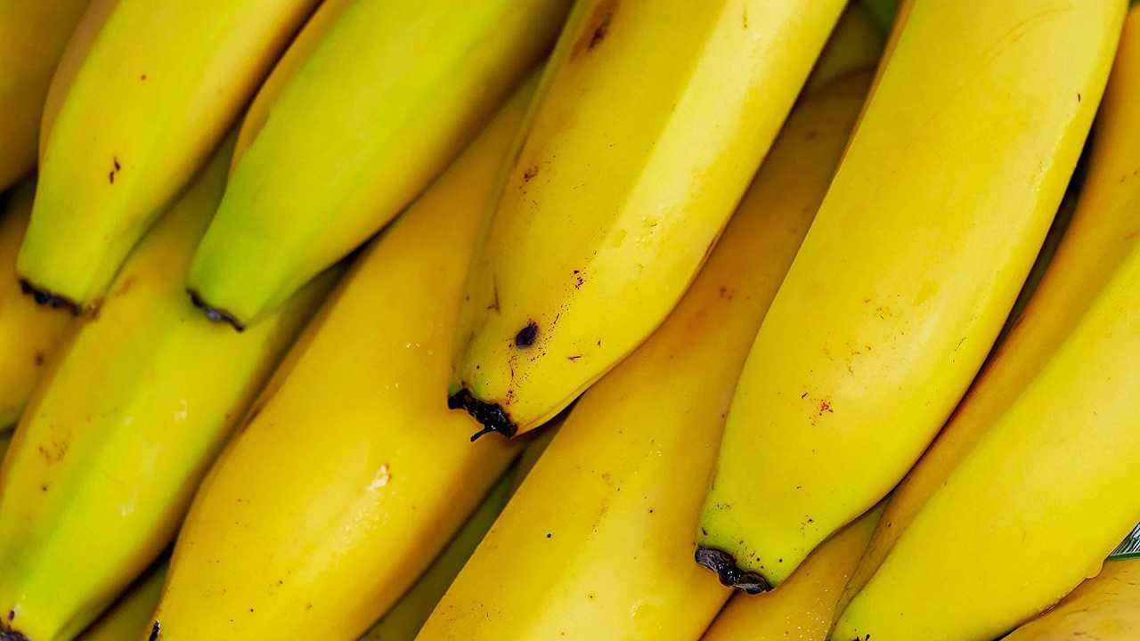 Chiquita approfitta del clima che cambia e porta le sue banane in Sicilia