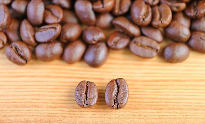 robusta e arabica caffè