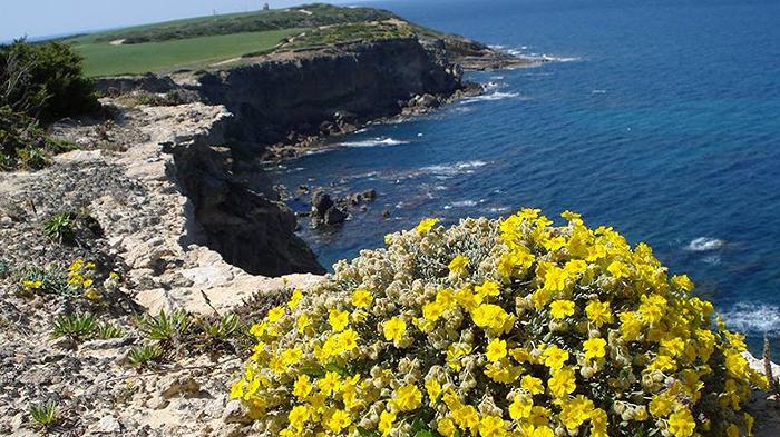 Al TTG 2025 la Sardegna presenta numeri record e tre novità