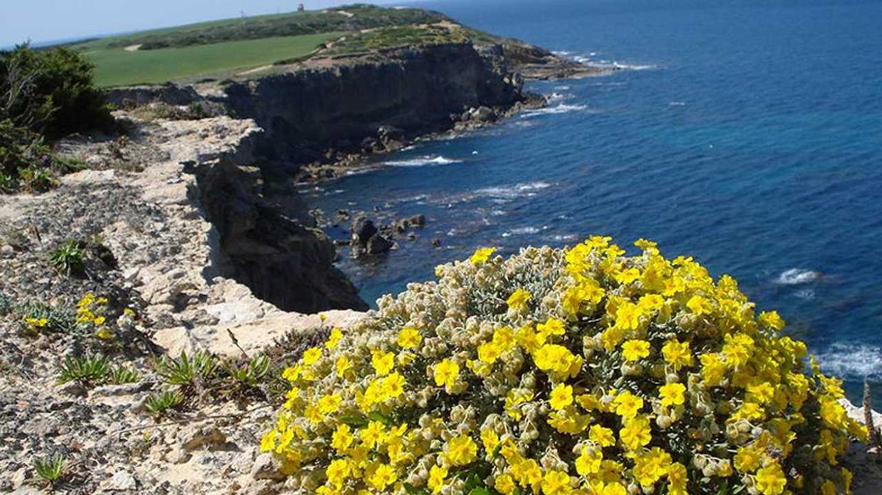 Al TTG 2025 la Sardegna presenta numeri record e tre novità