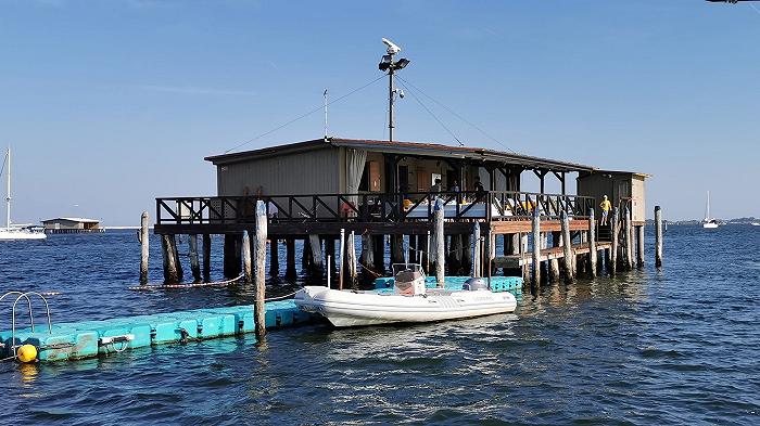 Com’è mangiare dentro Tocia!, casone di laguna dove i cuochi cambiano in base al pescato