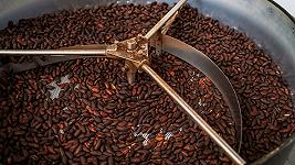 Presto mangeremo molto cioccolato surrogato