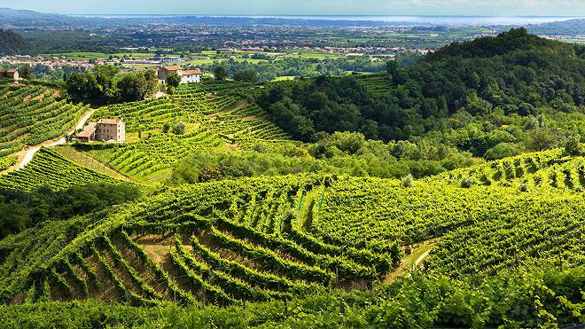 prosecco colline cover