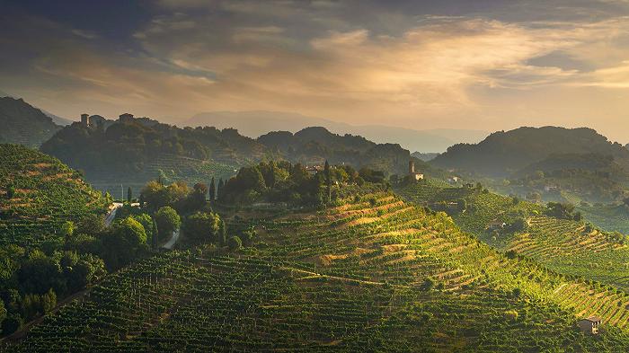 Il Prosecco è una macchina da guerra: scaccia via il “Prisecco” e lavora alla sua versione low alcol