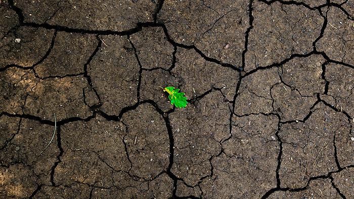 Mettere “a dieta” il pianeta può salvare 15 milioni di vite all’anno