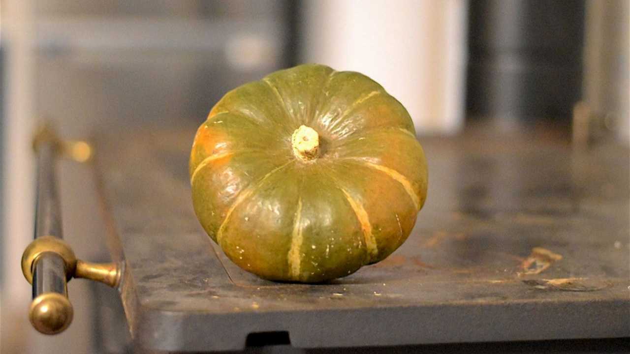 La zucca di Piozzo è ufficialmente un nuovo Presidio Slow Food