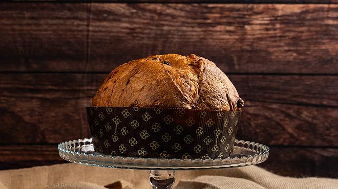 Ciacco panettone 2025
