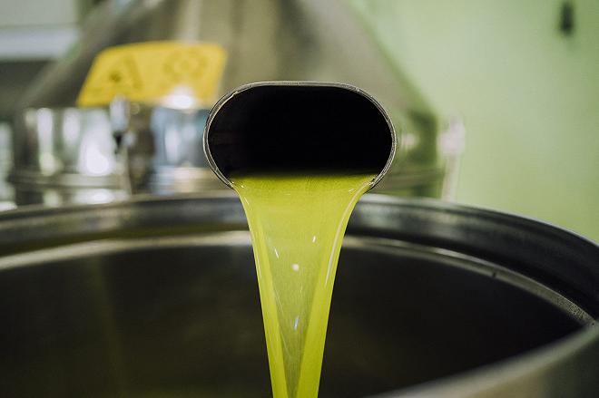 sardegna produzione olio