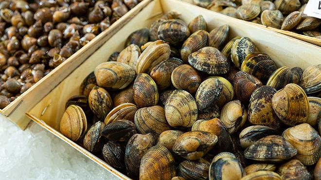 cassettina di vongole