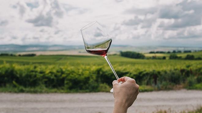 michelin vino