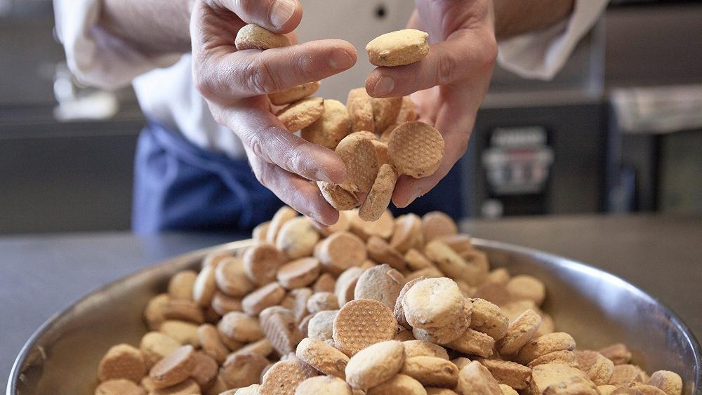 Cos’è il Biscotto Pordenone e chi lo produce