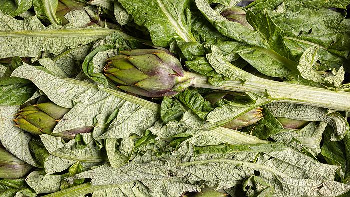 Cos’è il carciofo spinoso di Sardegna e cosa cambia rispetto al romanesco