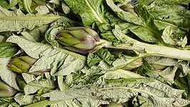 Cos’è il carciofo spinoso di Sardegna e cosa cambia rispetto al romanesco